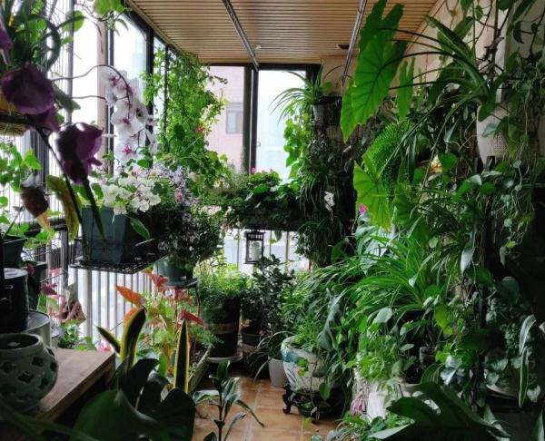 让海南人闹心的“回南天”又来了，当心“潮”出这些病！