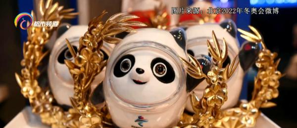 被骗近4万元！没人能拒绝“冰墩墩”！但是，购买“冰墩墩”一定要认准哦……