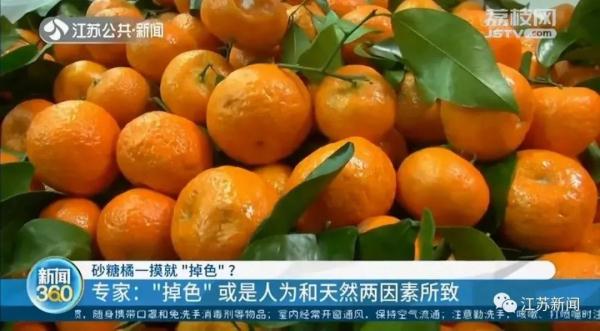 砂糖橘一摸就“掉色”？原来是这样→