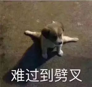 粗心司机掉落贵重物品 警民合力及时帮忙找回