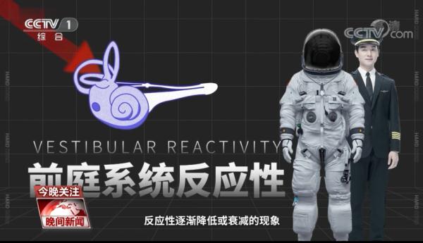 “金博洋战胜了金博洋”刷屏，关于花滑的小知识了解一下
