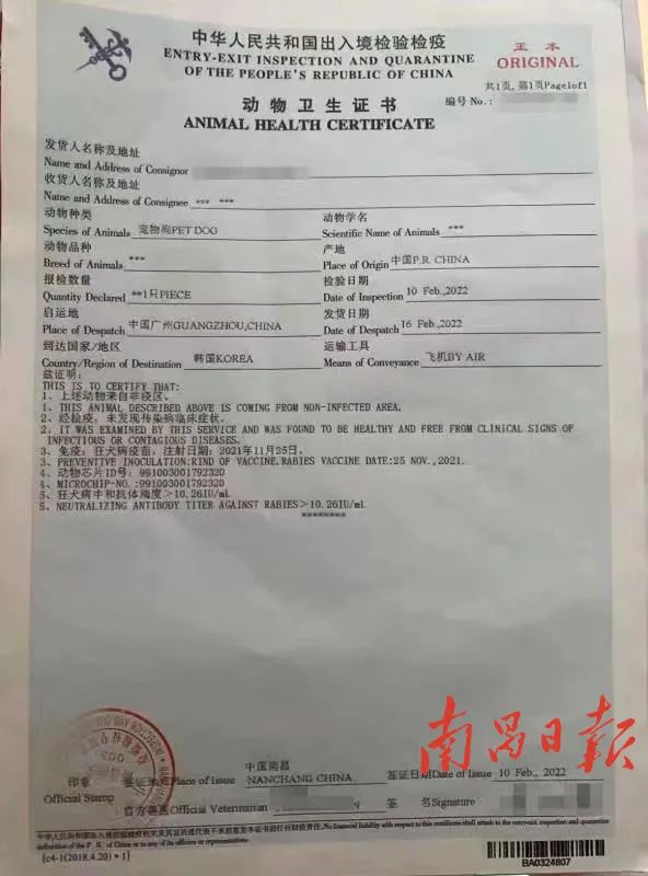 今年首份！南昌宠物可以出境啦