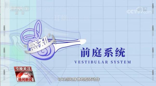 “金博洋战胜了金博洋”刷屏，关于花滑的小知识了解一下