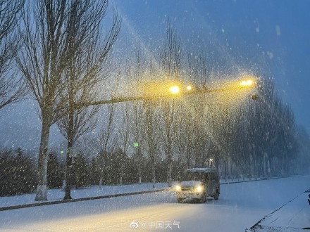 白天下雪图片真实图片