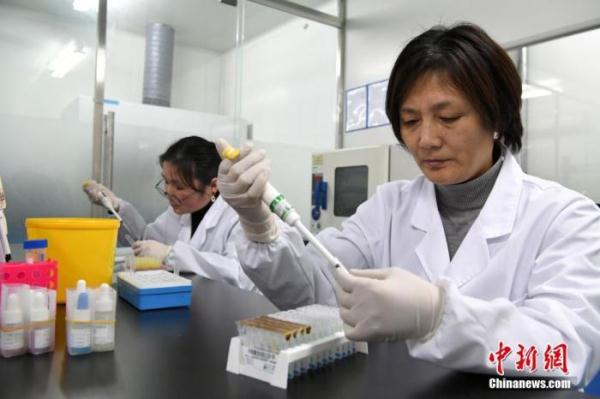 安徽(合肥)侨梦苑新春复工忙 安徽(合肥)侨梦苑新春复工忙