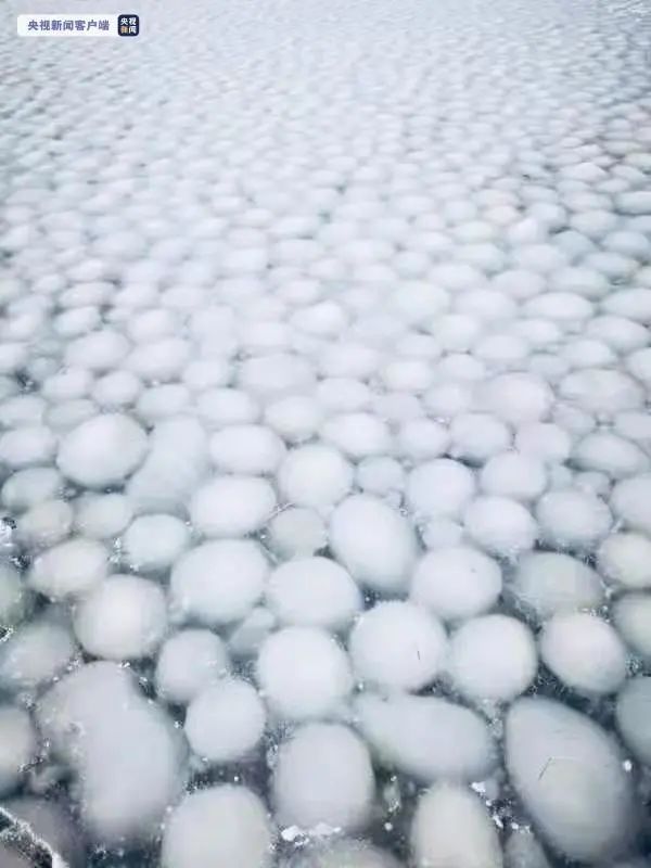 神奇!东北一地出现“汤圆”冰面!网友:太应景了 神奇!东北一地出现“汤圆”冰面!网友:太应景了