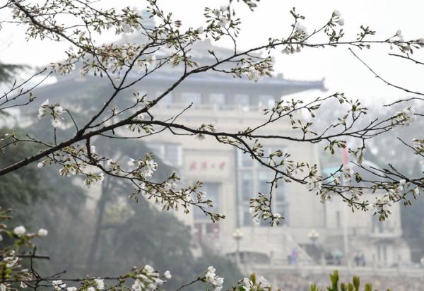 第二轮“双一流”名单如何认定的？官方回应来了！
