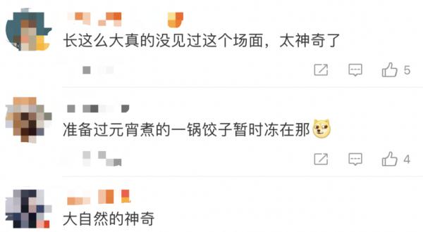 神奇!东北一地出现“汤圆”冰面!网友:太应景了 神奇!东北一地出现“汤圆”冰面!网友:太应景了