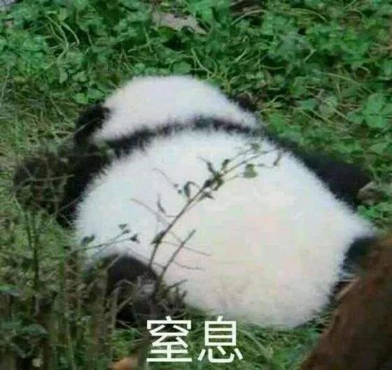 呕吐物从嘴里喷射出！男子坐海盗船突然…网友：最担心的事发生了