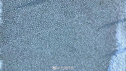 罕见!吉林四海湖冰汤圆好诱人 罕见!吉林四海湖冰汤圆好诱人