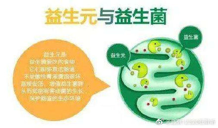 益生菌和益生元就差一个字 您知道它们的区别吗