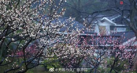 一园春动，全城赏梅！梅园，当之无愧的无锡赏梅地之首