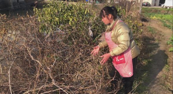严寒中,台州89岁阿婆落水命悬一线,不会游泳的他第一个跳河 严寒中,台州89岁阿婆落水命悬一线,不会游泳的他第一个跳河
