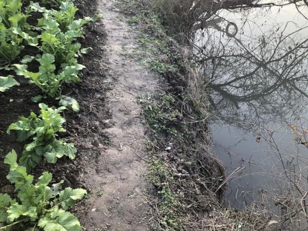 严寒中,台州89岁阿婆落水命悬一线,不会游泳的他第一个跳河 严寒中,台州89岁阿婆落水命悬一线,不会游泳的他第一个跳河