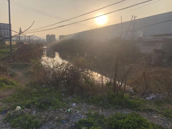 严寒中,台州89岁阿婆落水命悬一线,不会游泳的他第一个跳河 严寒中,台州89岁阿婆落水命悬一线,不会游泳的他第一个跳河