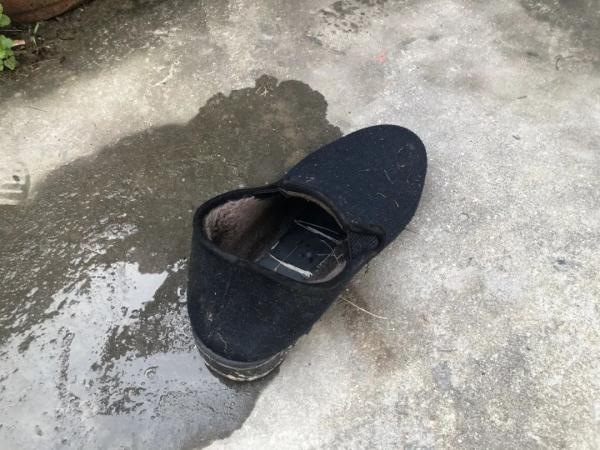 严寒中,台州89岁阿婆落水命悬一线,不会游泳的他第一个跳河 严寒中,台州89岁阿婆落水命悬一线,不会游泳的他第一个跳河