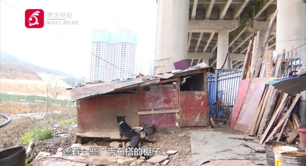 仨孩子拿肉块“逗走”金毛，狗主人：追到后，他们说要拿给奶奶卖到……