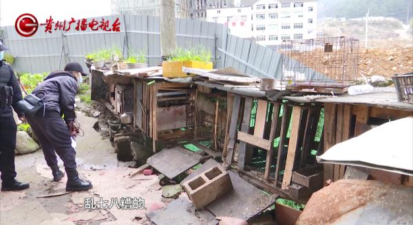 仨孩子拿肉块“逗走”金毛，狗主人：追到后，他们说要拿给奶奶卖到……