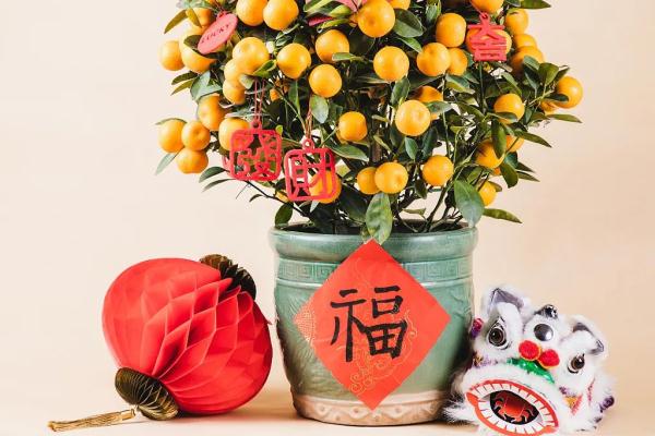 本月必吃鲜果，给啥都不换！消化肉食、降血脂，理顺肠胃、护血管～