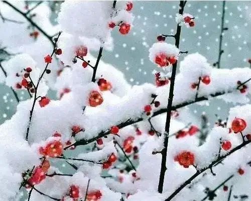 就在今晚，杭州天气突变！暴雪又要来了，雨雪一直下到...