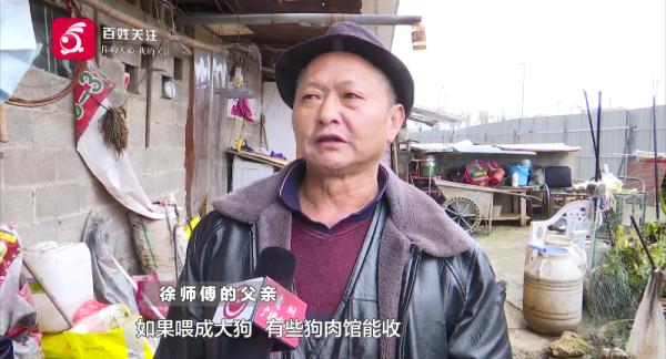 仨孩子拿肉块“逗走”金毛，狗主人：追到后，他们说要拿给奶奶卖到……