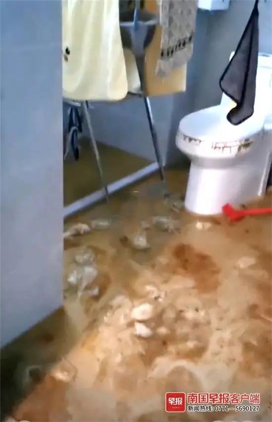 令人作呕!新房厕所一个月内3次反冒粪水,这对夫妻苦不堪言 令人作呕!新房厕所一个月内3次反冒粪水,这对夫妻苦不堪言