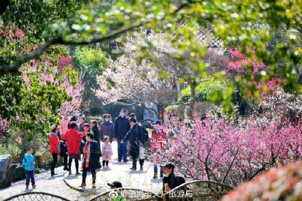 全国四大赏梅胜地之一,无锡梅园梅花正盛开 全国四大赏梅胜地之一,无锡梅园梅花正盛开