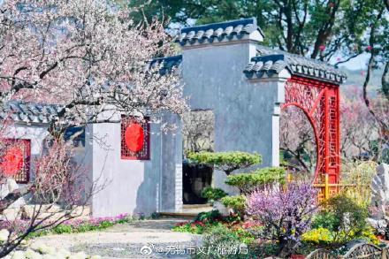 全国四大赏梅胜地之一,无锡梅园梅花正盛开 全国四大赏梅胜地之一,无锡梅园梅花正盛开