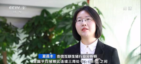 猪肉价格降了!这里批发价下降超50% 未来怎么走? 猪肉价格降了!这里批发价下降超50% 未来怎么走?