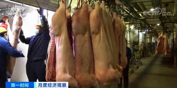 猪肉价格降了!这里批发价下降超50% 未来怎么走? 猪肉价格降了!这里批发价下降超50% 未来怎么走?