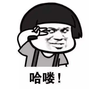 “他们的中文比我英语说得好！”