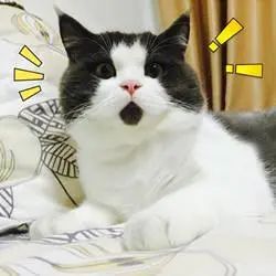 浙江12岁男孩上课站着都能睡着，原来是得了…