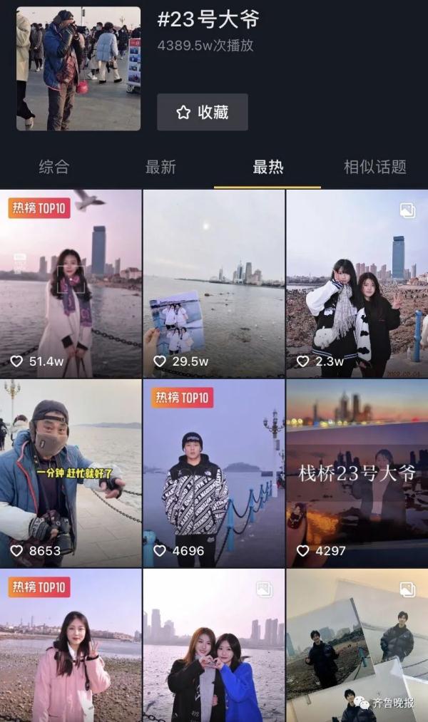 青岛栈桥的“23号大爷”火了！网友：让海鸥都嫉妒的男人