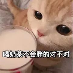 花1个亿打假7000家，网红奶茶店被疯狂山寨，喝到正版的概率就像抽盲盒