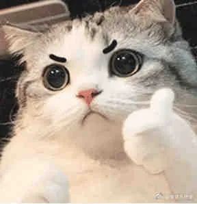 萌翻 | 天津6岁男娃冲上热搜!网友:相声苗子!老天津卫! 萌翻 | 天津6岁男娃冲上热搜!网友:相声苗子!老天津卫!