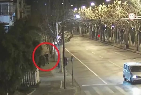 男子半年“顺”走6辆自行车，辩解时吟起陆游词“寂寞开无主”