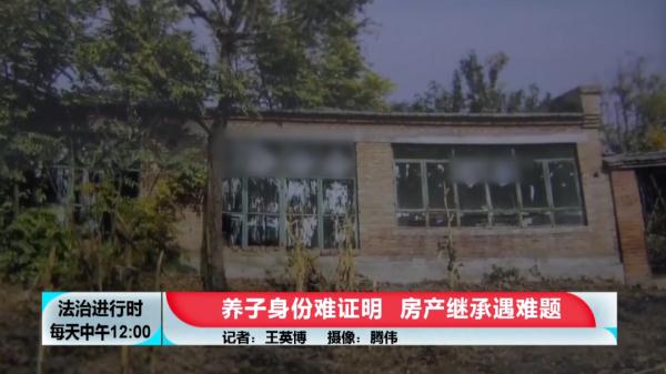 男子先被弃养后被收养，如今若无法证明养子身份，无法继承遗产
