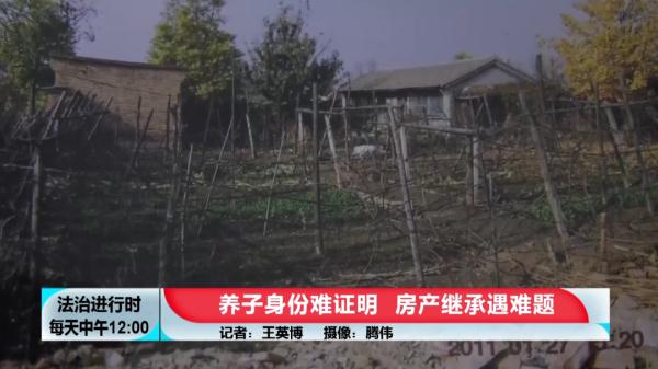 男子先被弃养后被收养，如今若无法证明养子身份，无法继承遗产