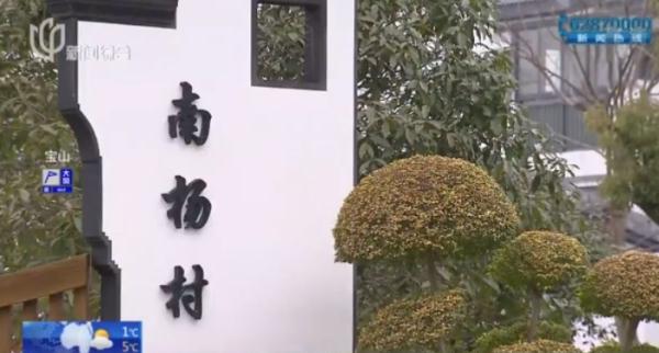 帅气！听话！上海的这些狗狗们派上大用场了