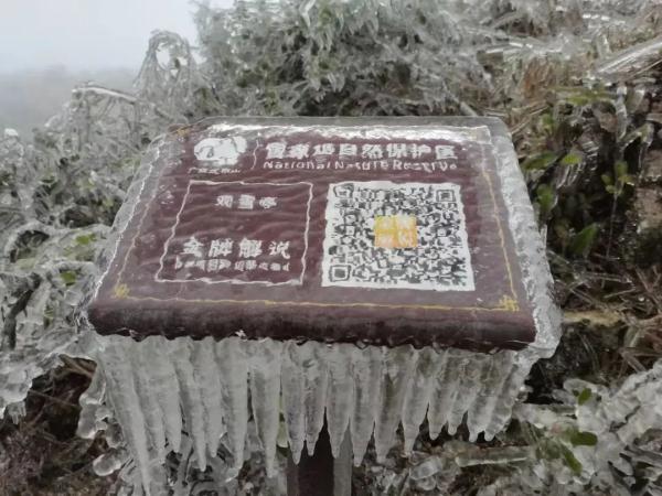 广西下雪了！
