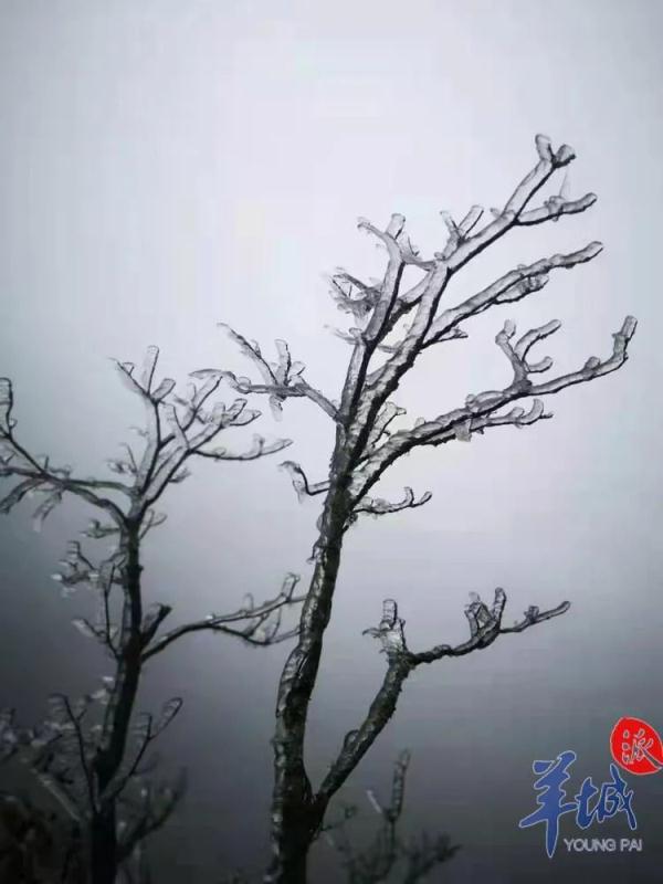 广州下雪了？！还有街坊出门亲测……最新回应来了→