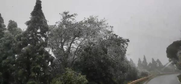 最低零下 7℃！广西这些地方下雪了，你想不想堆个雪人？