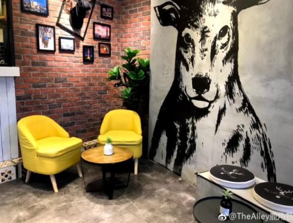 网红奶茶店：上海没一家正牌！仍有外卖店在售？真相是…