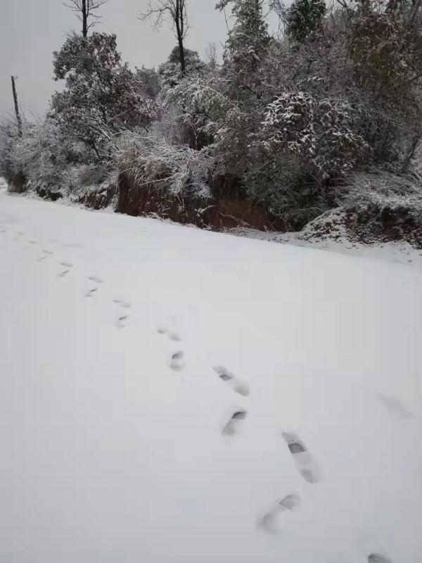 广西下雪了！
