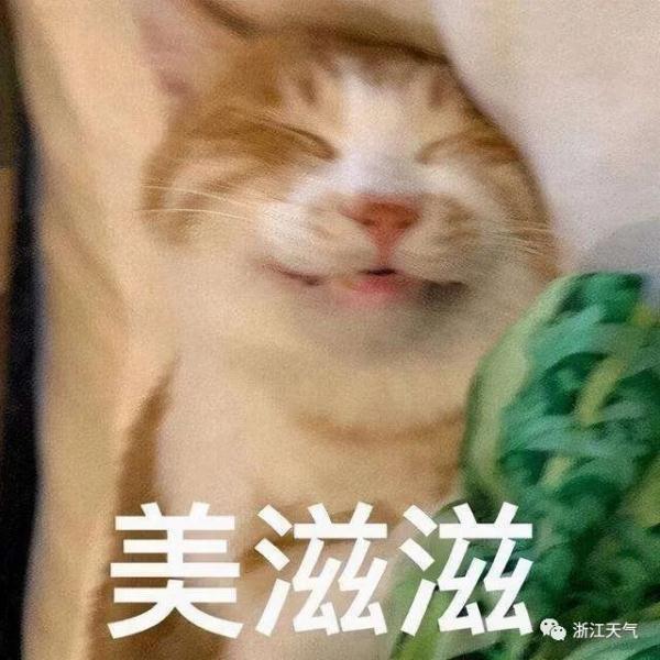 下周天气:刺激! 下周天气:刺激!