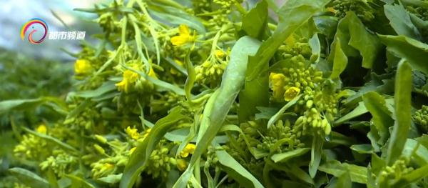 海菜花、棠梨花、金雀花、虫草花...又到吃花季，市民争相品尝春天味道！
