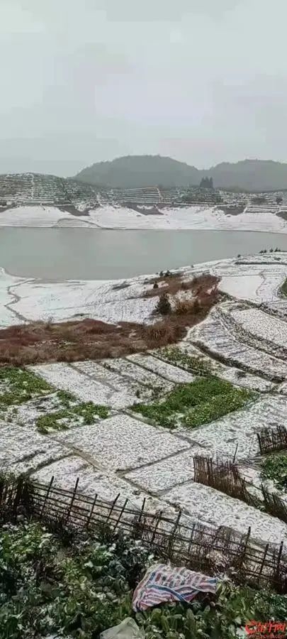 下雪！冰挂！广东开启速冻模式