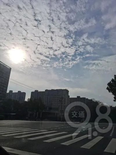 刚刚，杭州人狂喜：它来了！它来了！终于等到！