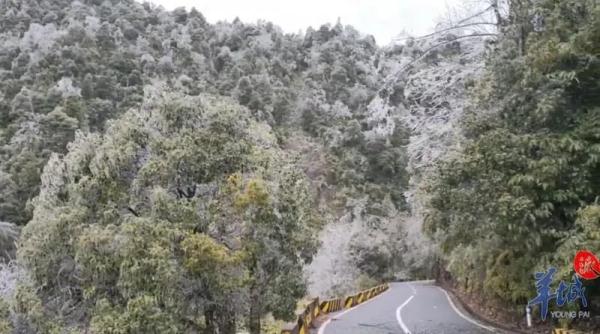 广州下雪了？！还有街坊出门亲测……最新回应来了→