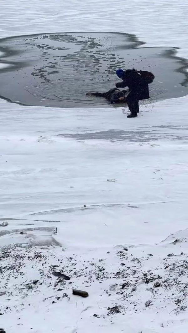 惊险!女子不慎掉进冰窟窿,在冰水中挣扎!危急时刻